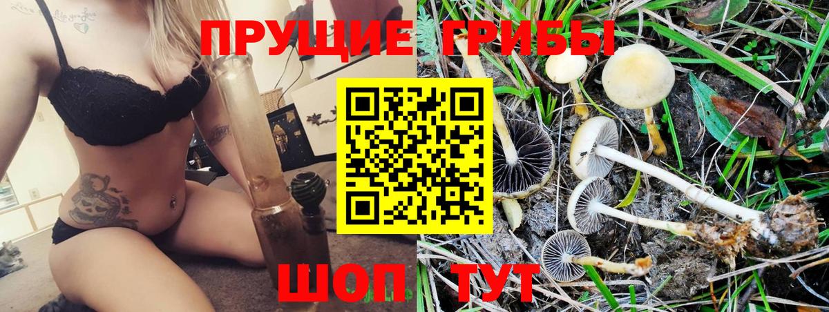 Галлюциногенные грибы Psilocybine cubensis  Вход с VPN  Псилоцибиновые грибы прущие грибы  Бийск 
