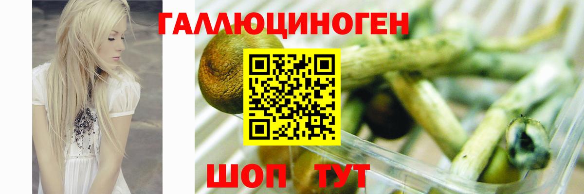 Псилоцибиновые грибы GOLDEN TEACHER Бийск